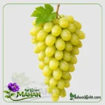 White Ruby Grape